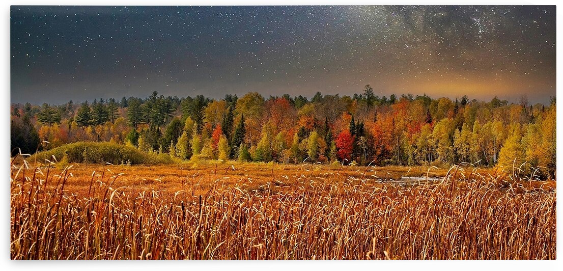 Starlit Harvest Night by Chirag Pandya