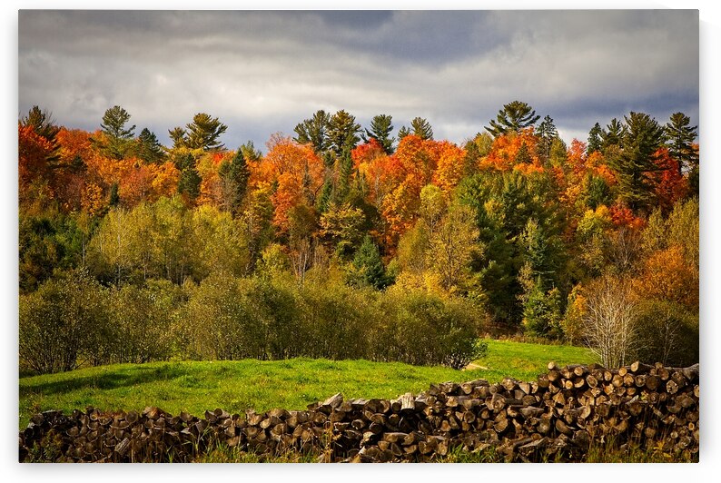 Autumn Harmony by Chirag Pandya
