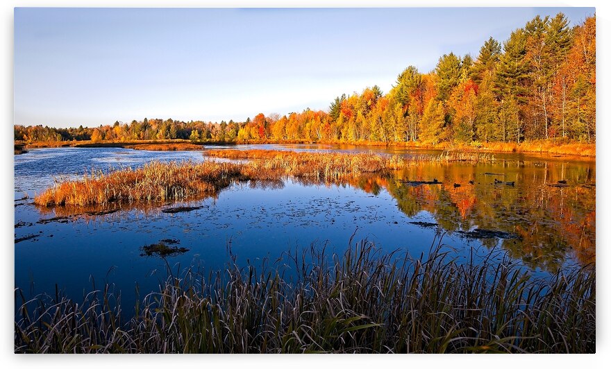 Autumn Reflections by Chirag Pandya