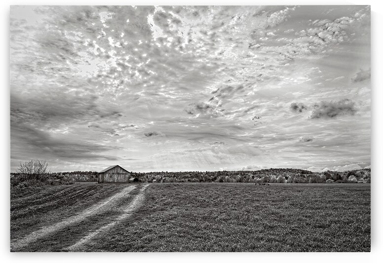 Light Over Quiet Lands by Chirag Pandya