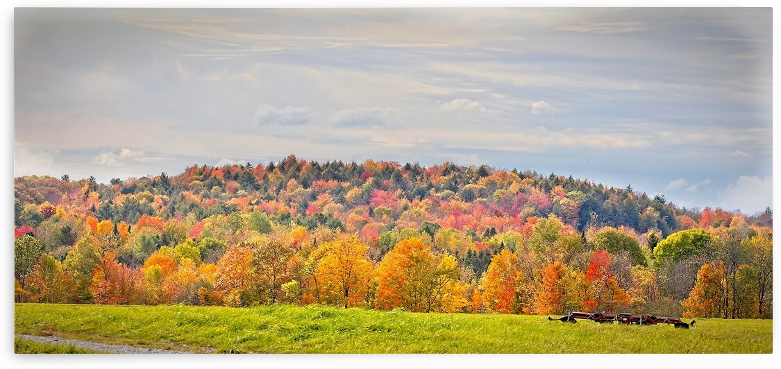  Autumn’s Quiet Meadow by Chirag Pandya