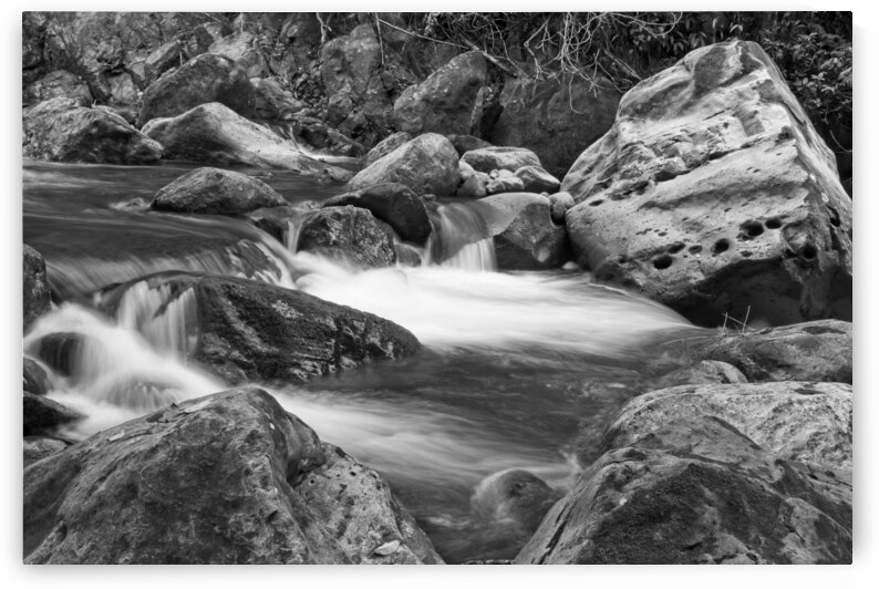 Nature’s Soft Flow by Chirag Pandya