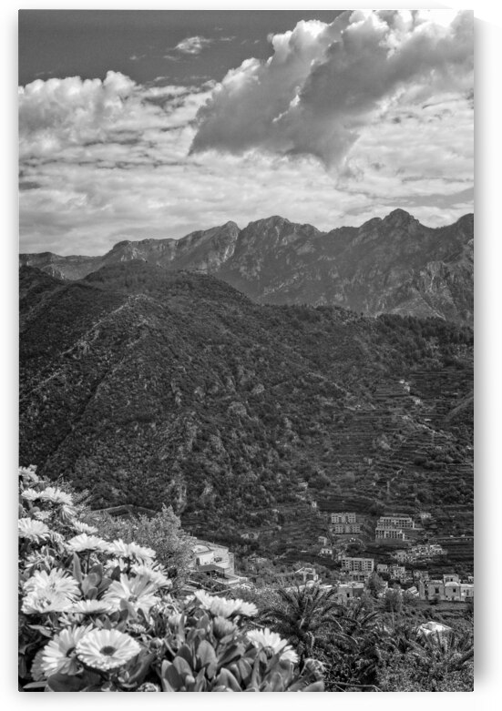 Terrace of Blossoms by Chirag Pandya