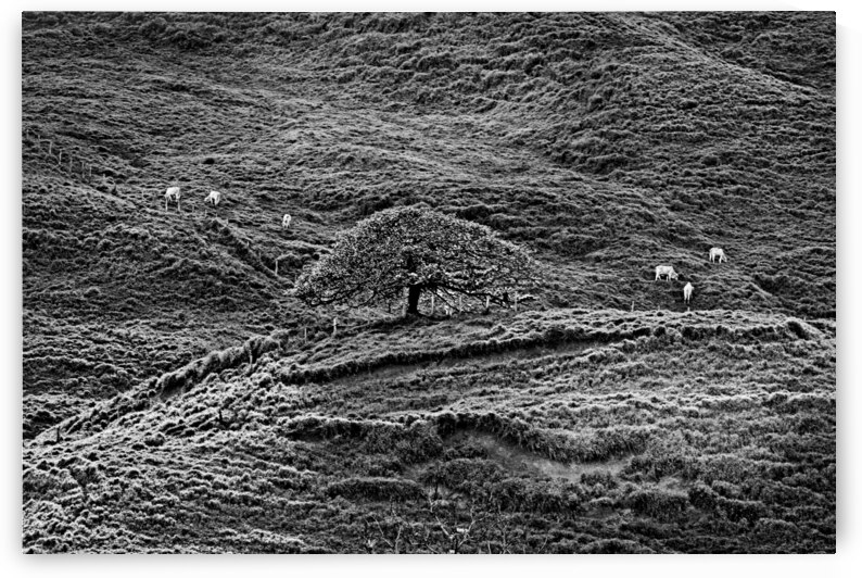 Hills of Time by Chirag Pandya