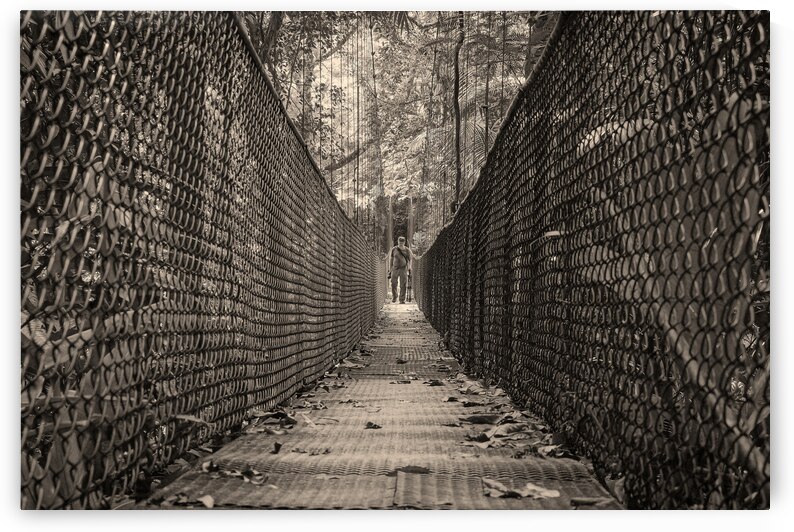 The Path Forward by Chirag Pandya