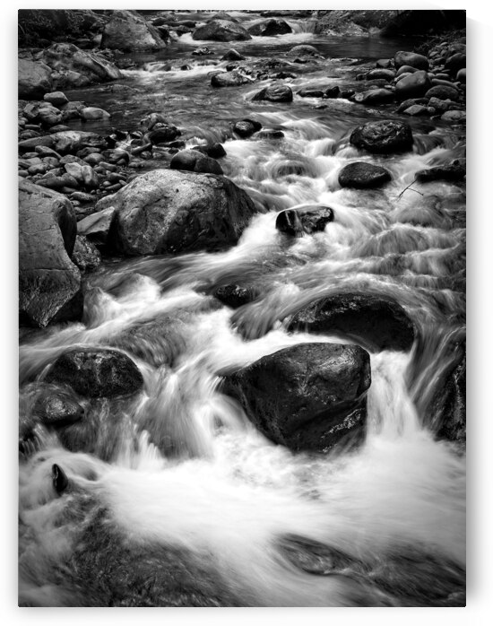 Mountain Creek Rush by Chirag Pandya