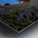 Garden Window to the Sea Metal print