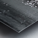 Flame of the Canopy Metal print