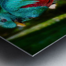 Jewel of the Cloud Forest Metal print