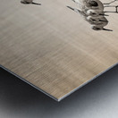 Gentle Pursuit Metal print