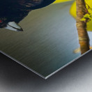 Skyfire Starling Metal print