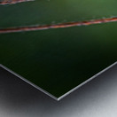 Dance of Nectar Metal print