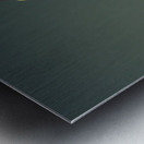 Fire in the Canopy Metal print