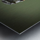 Perched in the Green Mist Metal print