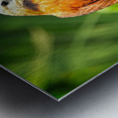 Golden Forest Guardian Metal print