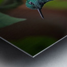 Emerald Perch Metal print