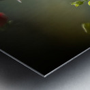 The Nectar Dancer Metal print