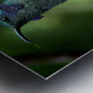 Emerald Whisper Metal print