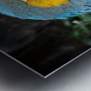 Feathered Jewel Metal print