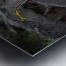 The Twin Dancers Metal print