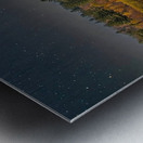 Autumn Forest Under a Starry Sky Metal print