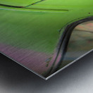 Woman in Green Car Window Metal print