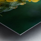 Vertical Symphony of Yellow Blooms Metal print