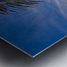 Palm-Framed Sunset Metal print