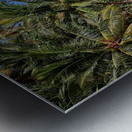 Tropical Shoreline Paradise Metal print