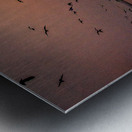 Dawn Flight Over Still Waters Metal print