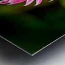 Jungle Bloom Elegance Metal print