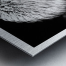 Fireworks Over the Bridge Metal print