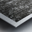 Forest Patterns Metal print