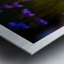 Garden Glow Metal print