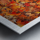 Autumn Carpet Metal print