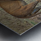 Mother’s Nudge Metal print