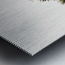 Pride on the Rocks Metal print