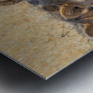 Lion Sisters Metal print