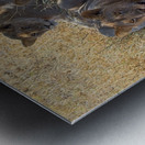 Pride at Rest Metal print