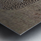 Cheetah on Patrol Metal print