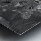 Sisters of the Savannah Metal print