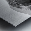 March of the Matriarchs Metal print