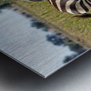 Striped Harmony Metal print