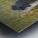 Mother’s Hold Metal print