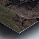 Mud Bath Ritual Metal print