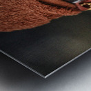 Eyes of Experience Metal print