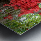 Wishes in Red Metal print