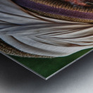 Smoke and Stories Metal print