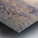 Golden Hour Over the Meadow Metal print