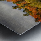 Autumn Harmony Metal print